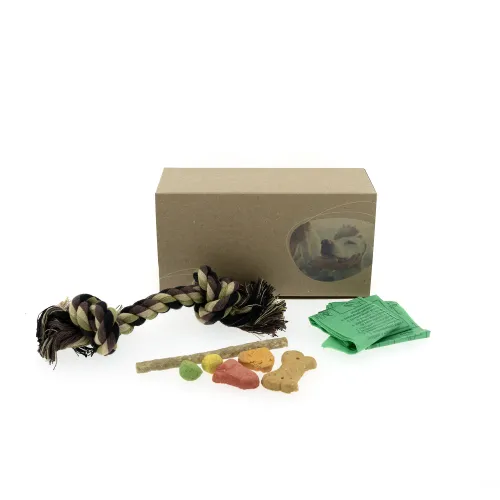Dog welcome set - large